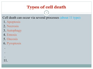 Cell death can occur via several processes (about 11 type):
1. Apoptosis
2. Necrosis
3. Autophagy
4. Entosis
5. Oncosis
6. Pyroptosis
.
.
.
11.
4
 