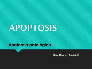 APOPTOSIS
Mary Carmen Aguilar R
Anatomía patológica
 