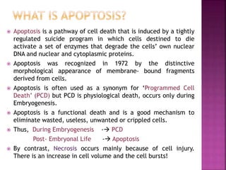  Apoptosis is a pathway of cell death that is induced by a tightly
regulated suicide program in which cells destined to die
activate a set of enzymes that degrade the cells’ own nuclear
DNA and nuclear and cytoplasmic proteins.
 Apoptosis was recognized in 1972 by the distinctive
morphological appearance of membrane- bound fragments
derived from cells.
 Apoptosis is often used as a synonym for ‘Programmed Cell
Death’ (PCD) but PCD is physiological death, occurs only during
Embryogenesis.
 Apoptosis is a functional death and is a good mechanism to
eliminate wasted, useless, unwanted or crippled cells.
 Thus, During Embryogenesis - PCD
Post- Embryonal Life - Apoptosis
 By contrast, Necrosis occurs mainly because of cell injury.
There is an increase in cell volume and the cell bursts!
 