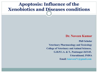 Apoptosis: Influence of the
Xenobiotics and Diseases conditions
Dr. Naveen Kumar
PhD Scholar
Veterinary Pharmacology and Toxicology
College of Veterinary and Animal Sciences,
G.B.P.U.A. & T., Pantnagar-263145,
Uttarakhand, INDIA
Email: knaveen7v@gmail.com
 