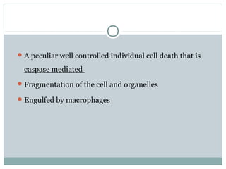 A peculiar well controlled individual cell death that is
caspase mediated
Fragmentation of the cell and organelles
Engulfed by macrophages
 