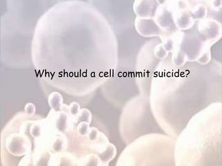 Why should a cell commit suicide?
 