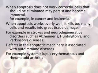 When apoptosis does not work correctly, cells that
should be eliminated may persist and become
immortal,
for example, in cancer and leukemia.
When apoptosis works overly well, it kills too many
cells and results into great tissue damage.
For example in strokes and neurodegenerative
disorders such as Alzheimer's, Huntington's, and
Parkinson's diseases.
Defects in the apoptotic machinery is associated
with autoimmune diseases
For example systemic lupus erythematosus and
rheumatoid arthritis
 