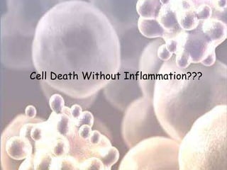 Cell Death Without Inflammation???
 