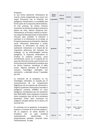 Piroptosis
Es una forma altamente inflamatoria de
muerte celular programada que ocurre con
mayor frecuencia tras la infección con
patógenos intracelulares y es probable que
forme parte de la respuesta antimicrobiana.
En este proceso, las células inmunes
reconocen las señales de peligro extranjeras
dentro de ellas, liberan citoquinas pro-
inflamatorias,se hinchan, estallan y mueren.
Las citoquinasliberadasatraenaotrascélulas
inmunes para combatir la infección y
contribuir a la inflamación en el tejido. La
Piroptosispromueve laeliminación rápida de
varias infecciones bacterianas y virales
mediante la eliminación de nichos de
replicación intracelular y la mejora de las
respuestas defensivas del huésped. Sin
embargo, en las enfermedades crónicas
patógenas, la respuesta inflamatoria no
erradica el estímulo primario, como
normalmente ocurre en la mayoría de los
casos de infecciónolesión,ypor lo tanto una
formacrónica de inflamaciónse produce que
en última instancia, contribuye al daño
tisular. Algunos ejemplos de Piroptosis
incluyen macrófagos infectados con
salmonella y abortado células T ayudadas
por VIH.
La iniciación de la piroptosis en los
macrófagos infectados es causada por el
reconocimiento de los componentes
flagelínicos de las especies de salmonella y
shigella (y patrones moleculares asociados a
patógenos similares (PAMPs) en otros
patógenos microbianos) por los receptores
tipo NOD (NLR). Estos receptores funcionan
como receptores tipo toll de la membrana
plasmática (TLRs), pero reconocen los
antígenos situados dentro de la célula y no
fuera de ella.
En contraste con la apoptosis, la piroptosis
requiere la función de la enzima caspasa-1.
[4] La caspasa-1 se activa durante la
piroptosis por un gran complejo
supramolecular denominado el
piroprotosoma (también conocido como
inflammasoma). En cada
Muerte
celular
programada
Tipo de
caspasa
Nombre Organismo
Apoptosis
Iniciadora
Caspasa
2
Humano y ratón
Caspasa
8
Humano y ratón
Caspasa
9
Humano y ratón
Caspasa
10
Humano
Ejecutora
Caspasa
3
Humano y ratón
Caspasa
6
Humano y ratón
Caspasa
7
Humano y ratón
Piroptosis Inf lamatoria
Caspasa
1
Humano y ratón
Caspasa
4
Humano
Caspasa
5
Humana
Caspasa
11
Ratón
Caspasa
12
Ratón y algunos
humanos
Otro rol Otro
Caspasa
14
Humano y ratón
 