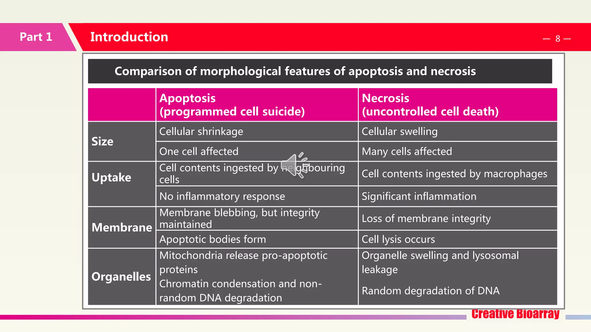 Cell Apoptosis Assays | PPTX