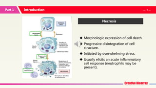 Cell Apoptosis Assays | PPTX