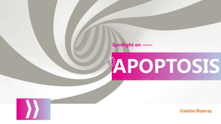 LOGO
Creative Bioarray
APOPTOSIS
Spotlight on ——
 