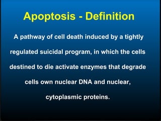 Apoptosis Definition Apoptosis | PPT