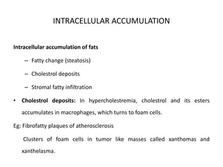 INTRACELLULAR ACCUMULATION
Intracellular accumulation of fats
– Fatty change (steatosis)
– Cholestrol deposits
– Stromal fatty infiltration
• Cholestrol deposits: In hypercholestremia, cholestrol and its esters
accumulates in macrophages, which turns to foam cells.
Eg: Fibrofatty plaques of atherosclerosis
Clusters of foam cells in tumor like masses called xanthomas and
xanthelasma.
 