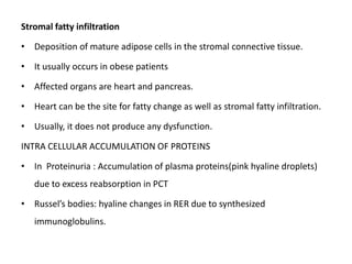 Stromal fatty infiltration
• Deposition of mature adipose cells in the stromal connective tissue.
• It usually occurs in obese patients
• Affected organs are heart and pancreas.
• Heart can be the site for fatty change as well as stromal fatty infiltration.
• Usually, it does not produce any dysfunction.
INTRA CELLULAR ACCUMULATION OF PROTEINS
• In Proteinuria : Accumulation of plasma proteins(pink hyaline droplets)
due to excess reabsorption in PCT
• Russel’s bodies: hyaline changes in RER due to synthesized
immunoglobulins.
 