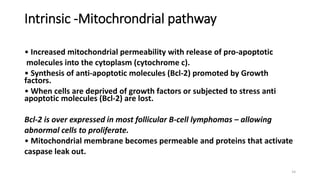 Intrinsic -Mitochrondrial pathway
• Increased mitochondrial permeability with release of pro-apoptotic
molecules into the cytoplasm (cytochrome c).
• Synthesis of anti-apoptotic molecules (Bcl-2) promoted by Growth
factors.
• When cells are deprived of growth factors or subjected to stress anti
apoptotic molecules (Bcl-2) are lost.
Bcl-2 is over expressed in most follicular B-cell lymphomas – allowing
abnormal cells to proliferate.
• Mitochondrial membrane becomes permeable and proteins that activate
caspase leak out.
14
 