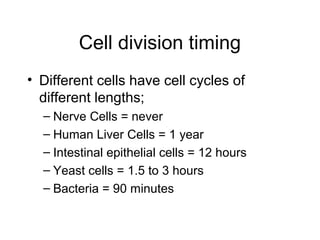 Timing Cell Apoptosis | PPT