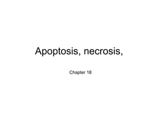 Apoptosis, necrosis,
Chapter 18
 