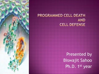 Presented by
Biswajit Sahoo
Ph.D. 1st year
 