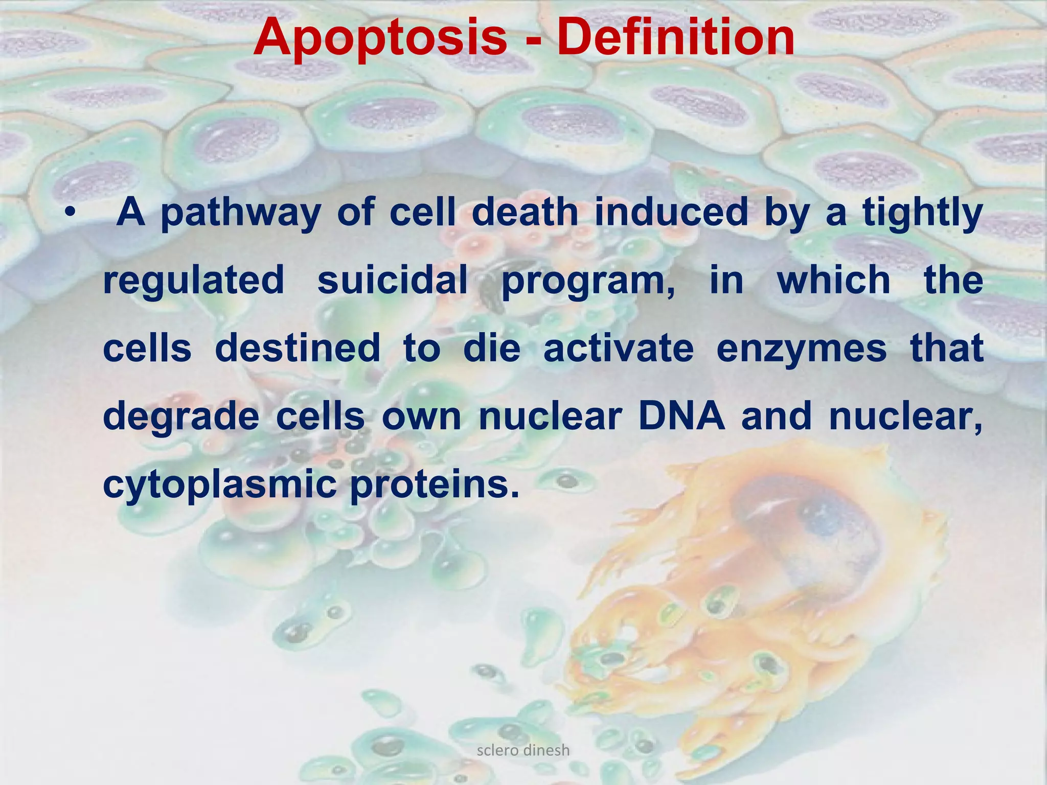 Apoptosis | PDF