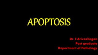 APOPTOSIS
Dr. T.Arivazhagan
Post graduate
Department of Pathology
 
