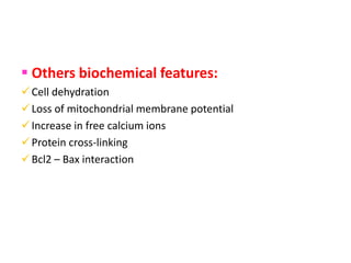  Others biochemical features:
Cell dehydration
Loss of mitochondrial membrane potential
Increase in free calcium ions
Protein cross-linking
Bcl2 – Bax interaction
 