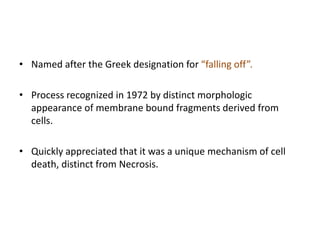 • Named after the Greek designation for “falling off”.
• Process recognized in 1972 by distinct morphologic
appearance of membrane bound fragments derived from
cells.
• Quickly appreciated that it was a unique mechanism of cell
death, distinct from Necrosis.
 