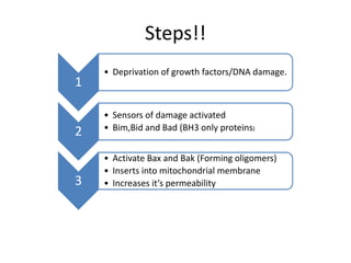 Steps!!
1
• Deprivation of growth factors/DNA damage.
2
• Sensors of damage activated
• Bim,Bid and Bad (BH3 only proteins)
3
• Activate Bax and Bak (Forming oligomers)
• Inserts into mitochondrial membrane
• Increases it’s permeability
 