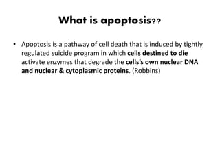 What is apoptosis??
• Apoptosis is a pathway of cell death that is induced by tightly
regulated suicide program in which cells destined to die
activate enzymes that degrade the cells’s own nuclear DNA
and nuclear & cytoplasmic proteins. (Robbins)
 