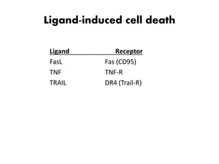 Ligand-induced cell death
Ligand Receptor
FasL Fas (CD95)
TNF TNF-R
TRAIL DR4 (Trail-R)
 