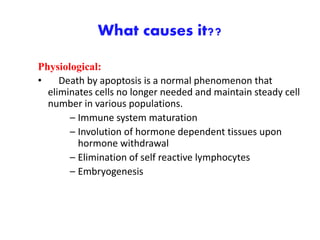 What causes it??
Physiological:
• Death by apoptosis is a normal phenomenon that
eliminates cells no longer needed and maintain steady cell
number in various populations.
– Immune system maturation
– Involution of hormone dependent tissues upon
hormone withdrawal
– Elimination of self reactive lymphocytes
– Embryogenesis
 