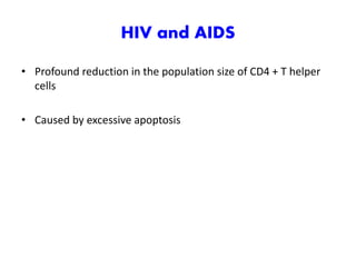 HIV and AIDS
• Profound reduction in the population size of CD4 + T helper
cells
• Caused by excessive apoptosis
 