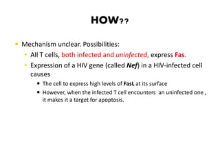 HOW??
 Mechanism unclear. Possibilities:
• All T cells, both infected and uninfected, express Fas.
• Expression of a HIV gene (called Nef) in a HIV-infected cell
causes
 The cell to express high levels of FasL at its surface
 However, when the infected T cell encounters an uninfected one ,
it makes it a target for apoptosis.
 
