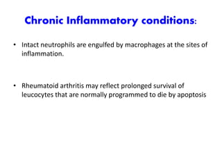 Chronic Inflammatory conditions:
• Intact neutrophils are engulfed by macrophages at the sites of
inflammation.
• Rheumatoid arthritis may reflect prolonged survival of
leucocytes that are normally programmed to die by apoptosis
 