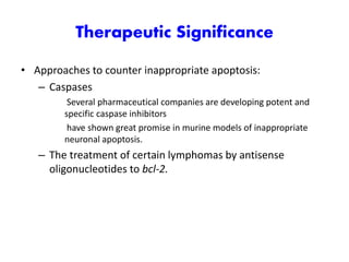 Therapeutic Significance
• Approaches to counter inappropriate apoptosis:
– Caspases
Several pharmaceutical companies are developing potent and
specific caspase inhibitors
have shown great promise in murine models of inappropriate
neuronal apoptosis.
– The treatment of certain lymphomas by antisense
oligonucleotides to bcl-2.
 