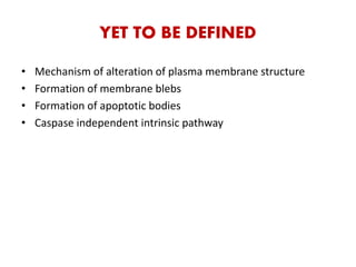 YET TO BE DEFINED
• Mechanism of alteration of plasma membrane structure
• Formation of membrane blebs
• Formation of apoptotic bodies
• Caspase independent intrinsic pathway
 