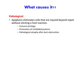 What causes it??
Pathological:
• Apoptosis eliminates cells that are injured beyond repair
without eliciting a host reaction.
– Immune privilege
– Elimination of misfolded proteins.
– Pathological atrophy after duct obstruction
 