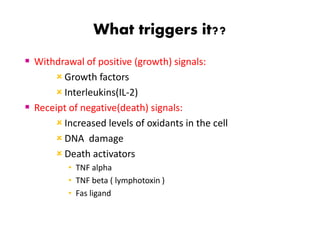 What triggers it??
 Withdrawal of positive (growth) signals:
 Growth factors
 Interleukins(IL-2)
 Receipt of negative(death) signals:
 Increased levels of oxidants in the cell
 DNA damage
 Death activators
• TNF alpha
• TNF beta ( lymphotoxin )
• Fas ligand
 