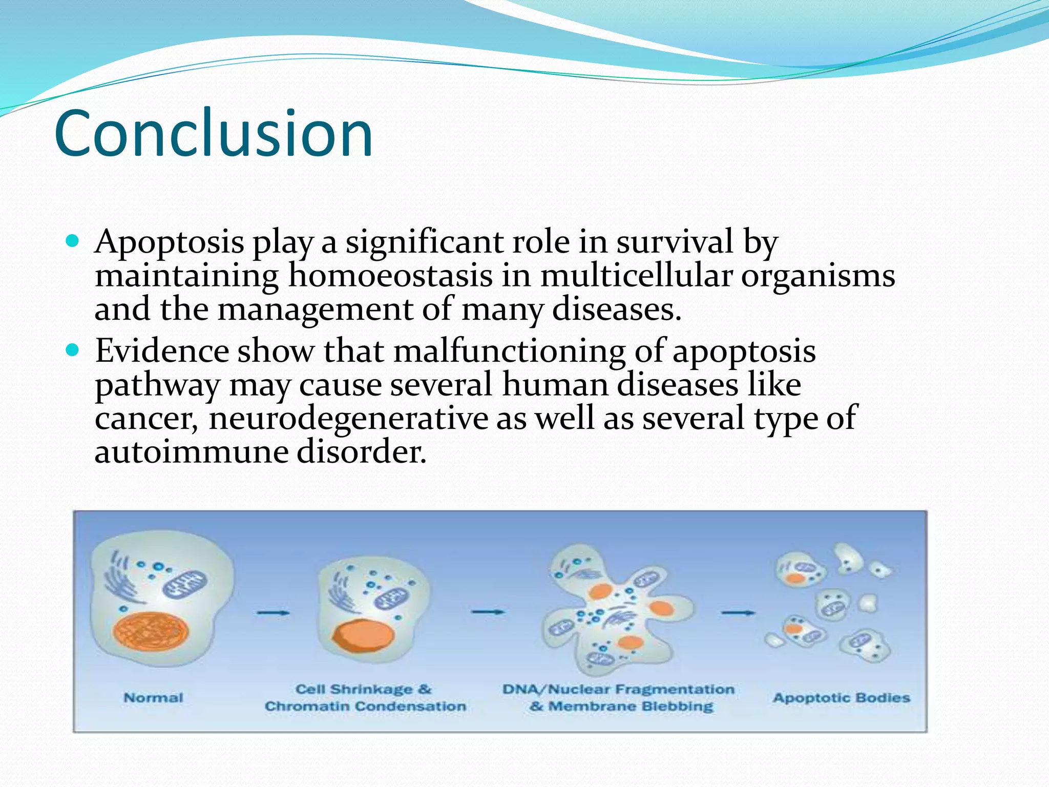 Apoptosis, program cell death | PPTX