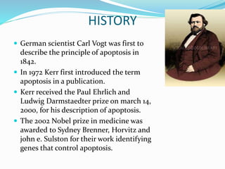 HISTORY
 German scientist Carl Vogt was first to
describe the principle of apoptosis in
1842.
 In 1972 Kerr first introduced the term
apoptosis in a publication.
 Kerr received the Paul Ehrlich and
Ludwig Darmstaedter prize on march 14,
2000, for his description of apoptosis.
 The 2002 Nobel prize in medicine was
awarded to Sydney Brenner, Horvitz and
john e. Sulston for their work identifying
genes that control apoptosis.
 