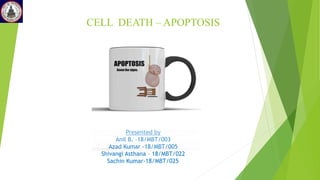 CELL DEATH – APOPTOSIS
Presented by
Anil B. –18/MBT/003
Azad Kumar -18/MBT/005
Shivangi Asthana – 18/MBT/022
Sachin Kumar-18/MBT/025
 