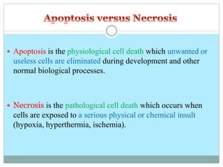  Apoptosis is the physiological cell death which unwanted or
useless cells are eliminated during development and other
normal biological processes.
 Necrosis is the pathological cell death which occurs when
cells are exposed to a serious physical or chemical insult
(hypoxia, hyperthermia, ischemia).
 
