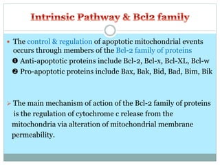  The control & regulation of apoptotic mitochondrial events
occurs through members of the Bcl-2 family of proteins
 Anti-apoptotic proteins include Bcl-2, Bcl-x, Bcl-XL, Bcl-w
 Pro-apoptotic proteins include Bax, Bak, Bid, Bad, Bim, Bik
 The main mechanism of action of the Bcl-2 family of proteins
is the regulation of cytochrome c release from the
mitochondria via alteration of mitochondrial membrane
permeability.
 