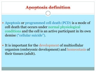  Apoptosis or programmed cell death (PCD) is a mode of
cell death that occurs under normal physiological
conditions and the cell is an active participant in its own
demise (“cellular suicide”).
 It is important for the development of multicellular
organism (embryonic development) and homeostasis of
their tissues (adult).
 