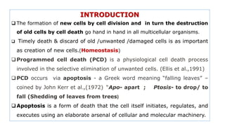 INTRODUCTION
 The formation of new cells by cell division and in turn the destruction
of old cells by cell death go hand in hand in all multicellular organisms.
 Timely death & discard of old /unwanted /damaged cells is as important
as creation of new cells.(Homeostasis)
Programmed cell death (PCD) is a physiological cell death process
involved in the selective elimination of unwanted cells. (Ellis et al.,1991)
PCD occurs via apoptosis - a Greek word meaning “falling leaves” –
coined by John Kerr et al.,(1972) “Apo- apart ; Ptosis- to drop/ to
fall (Shedding of leaves from trees)
Apoptosis is a form of death that the cell itself initiates, regulates, and
executes using an elaborate arsenal of cellular and molecular machinery.
 