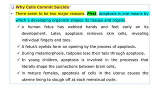  Why Cells Commit Suicide?
• There seem to be two major reasons. First, apoptosis is one means by
which a developing organism shapes its tissues and organs.
 a human fetus has webbed hands and feet early on its
development. Later, apoptosis removes skin cells, revealing
individual fingers and toes.
 A fetus’s eyelids form an opening by the process of apoptosis.
 During metamorphosis, tadpoles lose their tails through apoptosis.
 In young children, apoptosis is involved in the processes that
literally shape the connections between brain cells,
 in mature females, apoptosis of cells in the uterus causes the
uterine lining to slough off at each menstrual cycle.
 