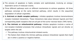  The process of apoptosis is highly complex and sophisticated, involving an energy-
dependent series of molecular events.
 Three different pathways work on different mechanisms to achieve apoptosis. All three
pathways converge at the same terminal pathway, which results in the sequential
degradation of cellular organelles.
 1. Extrinsic or death receptor pathway : initiates apoptosis involves transmembrane
receptor-mediated interactions. These interactions take place between ligands and their
corresponding death receptors that are all part of the tumor necrosis factor (TNF) family.
 2. The intrinsic or mitochondrial pathway: initiates apoptosis involves a series of
non-receptor-mediated processes that produce intracellular signals and act directly on
targets within the cell.
 This pathway involves mitochondrial-initiated events.
 The factors that initiate the intrinsic pathway produce intracellular signals that might
act in either a positive or negative fashion.
 