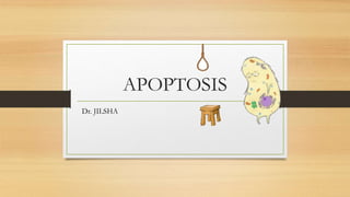 APOPTOSIS
Dr. JILSHA
 