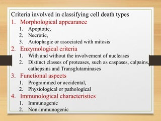 Apoptosis.pptx | Biological Sciences | Science