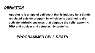 DEFINITION
Apoptosis is a type of cell death that is induced by a tightly
regulated suicide program in which cells destined to die
activate intrinsic enzymes that degrade the cells’ genomic
DNA and nuclear and cytoplasmic proteins.
PROGRAMMED CELL DEATH
 