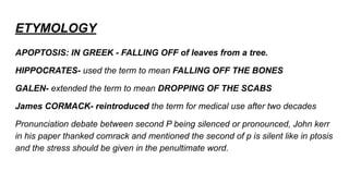ETYMOLOGY
APOPTOSIS: IN GREEK - FALLING OFF of leaves from a tree.
HIPPOCRATES- used the term to mean FALLING OFF THE BONES
GALEN- extended the term to mean DROPPING OF THE SCABS
James CORMACK- reintroduced the term for medical use after two decades
Pronunciation debate between second P being silenced or pronounced, John kerr
in his paper thanked comrack and mentioned the second of p is silent like in ptosis
and the stress should be given in the penultimate word.
 