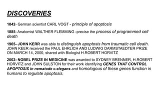 DISCOVERIES
1842- German scientist CARL VOGT - principle of apoptosis
1885- Anatomist WALTHER FLEMMING -precise the process of programmed cell
death
1965- JOHN KERR was able to distinguish apoptosis from traumatic cell death.
JOHN KEER received the PAUL EHRLICH AND LUDWIG DARMSTAEDTER PRIZE
ON MARCH 14, 2000, shared with Biologist H.ROBERT HORVITZ
2002- NOBEL PRIZE IN MEDICINE was awarded to SYDNEY BRENNER, H.ROBERT
HORVITZ and JOHN SULSTON for their work identifying GENES THAT CONTROL
APOPTOSIS in nematode c.elegans and homologous of these genes function in
humans to regulate apoptosis.
 