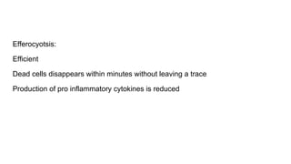 Efferocyotsis:
Efficient
Dead cells disappears within minutes without leaving a trace
Production of pro inflammatory cytokines is reduced
 
