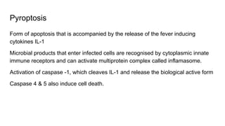 Pyroptosis
Form of apoptosis that is accompanied by the release of the fever inducing
cytokines IL-1
Microbial products that enter infected cells are recognised by cytoplasmic innate
immune receptors and can activate multiprotein complex called inflamasome.
Activation of caspase -1, which cleaves IL-1 and release the biological active form
Caspase 4 & 5 also induce cell death.
 